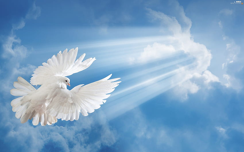 sun rays Clouds Sky and Mobile Background. Blue sky clouds, Mountain , Bird, Funeral Clouds HD wallpaper