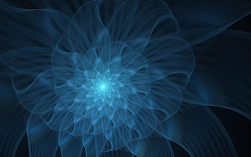 Loop Flower . Loop Flower stock HD wallpaper | Pxfuel