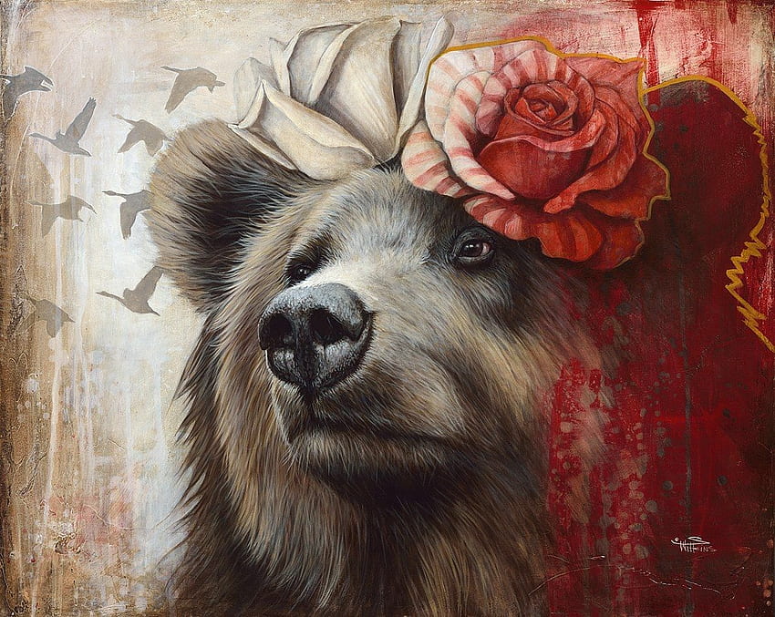 Bear, rose, brown, riss, art, red, flower, sophie wilkins, face HD wallpaper