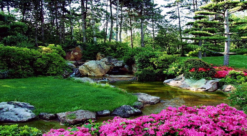 สวนในฤดูใบไม้ผลิ สวนสาธารณะ ต้นไม้ ธรรมชาติ ดอกไม้ ฤดูใบไม้ผลิ วอลล์เปเปอร์ HD