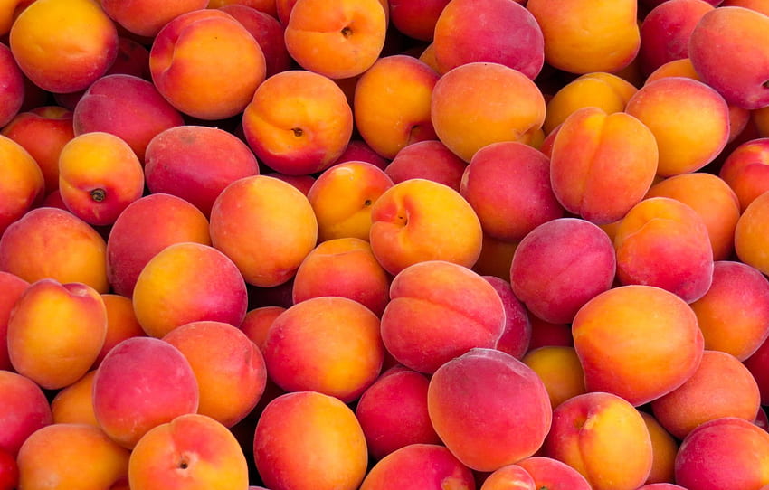 fruit, nectarines, abundance for , section еда - HD wallpaper