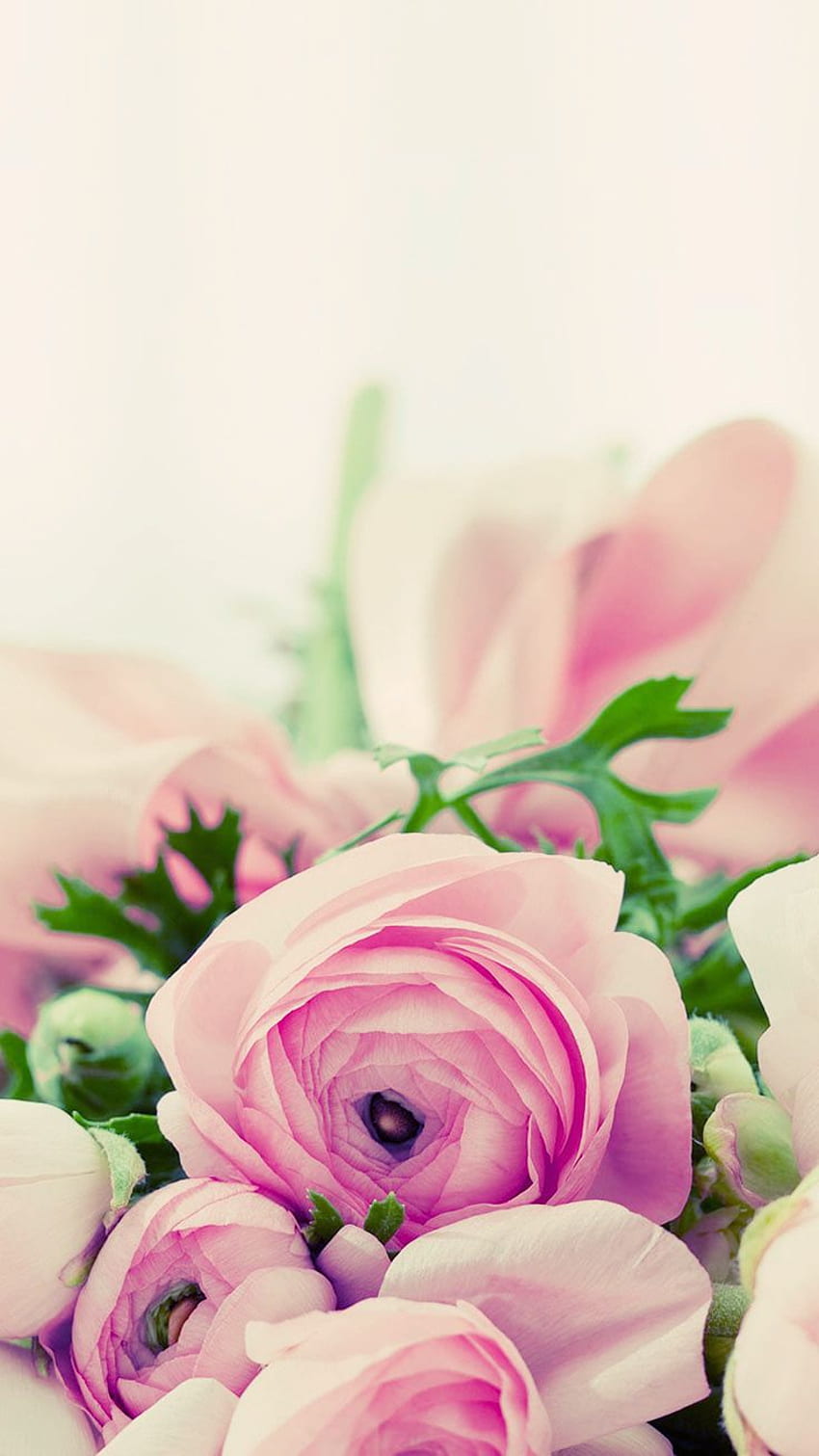 Beautiful Flower For iPhone ( !), Bright Floral HD phone wallpaper