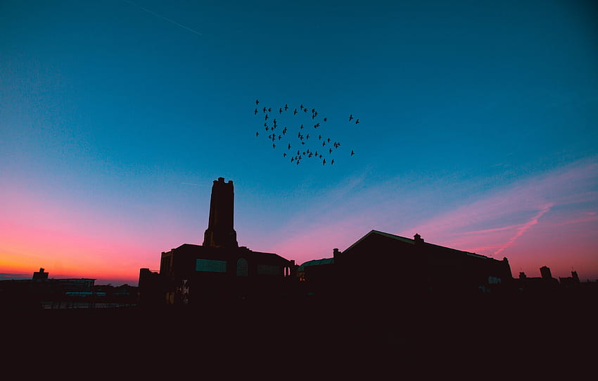 / uno stormo di uccelli in silhouette sopra un camino industriale durante un tramonto rosa e arancione ad ashbury park, _uccelli nella trappola cantano mcknight Sfondo HD