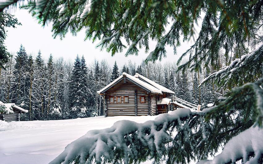 Alberi di abete rosso degli aghi di pino della casa di inverno della neve. . 147054 Sfondo HD