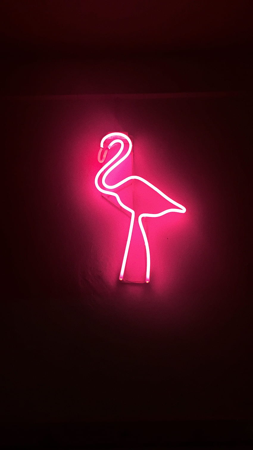 Flamingo. Tujuan. Kunci layar iphone, iPhone, latar belakang iPhone, Neon Pink Flamingo wallpaper ponsel HD