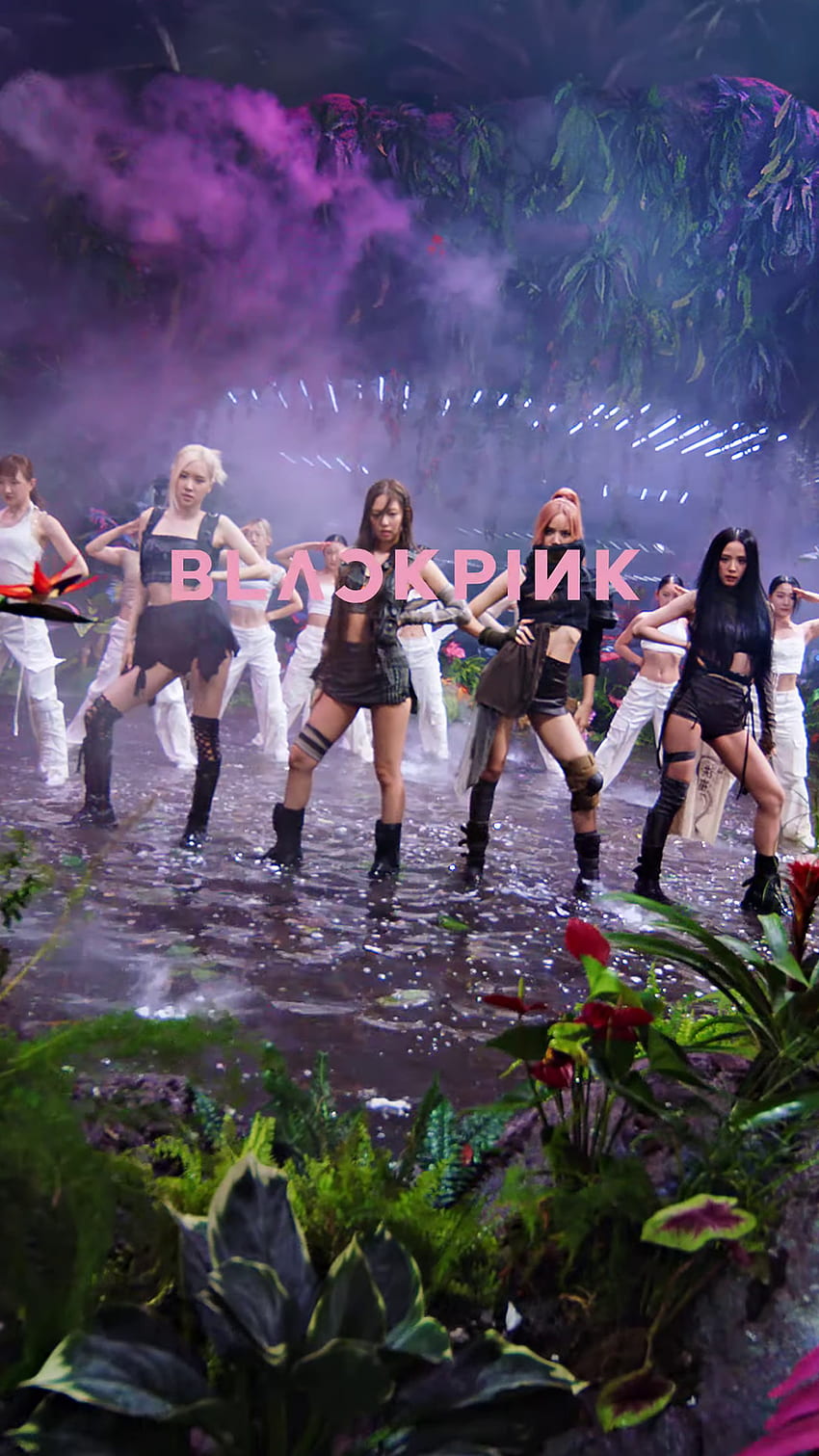 Rosa Gift – Blackpink, Jennie, Jisoo, Lisa, Mv, Pinkvenom, Rose HD-Handy-Hintergrundbild