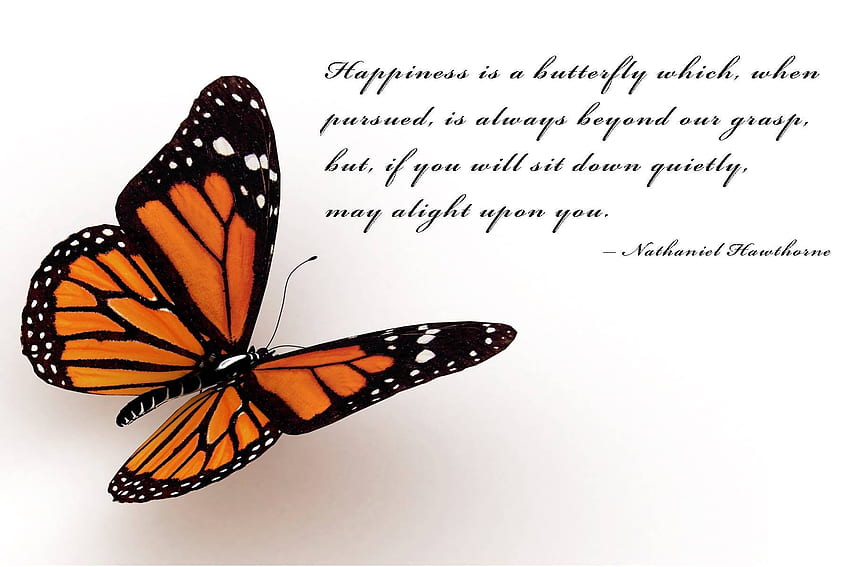 butterfly quotes High Quality , High Definition HD wallpaper