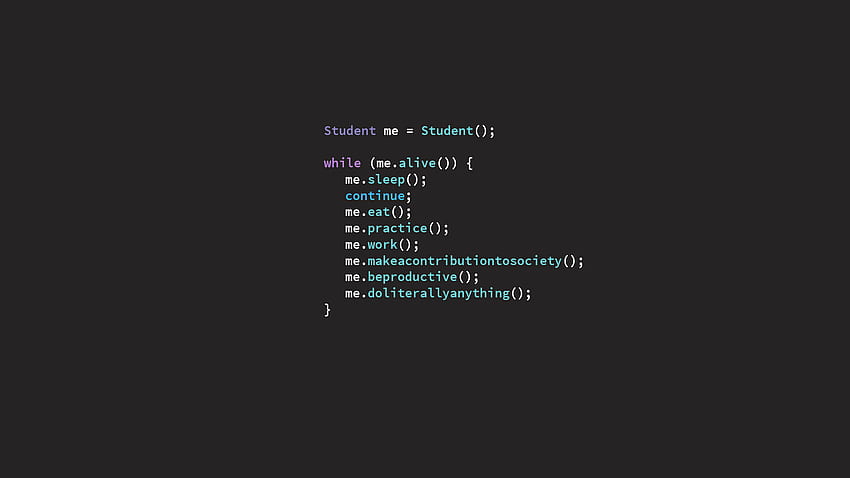 Programando, la historia de mi vida: ProgrammerHumor, Funny Code fondo de pantalla
