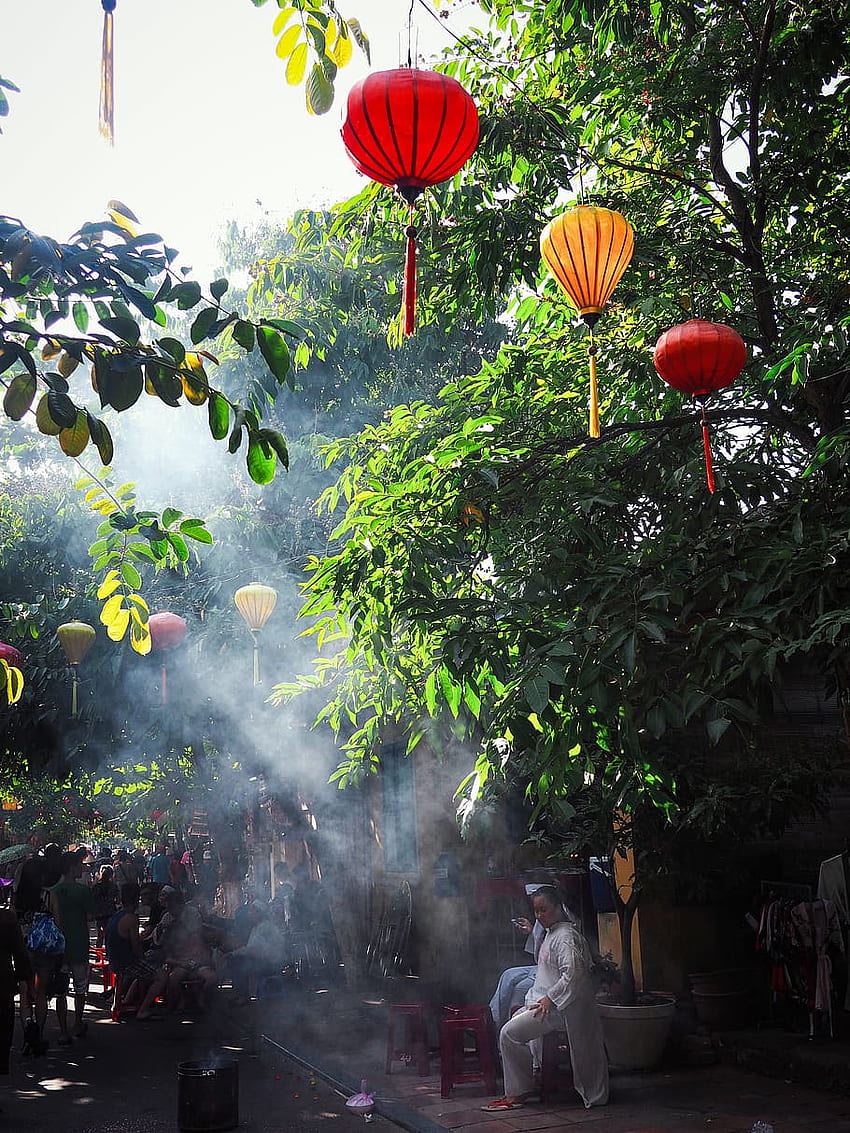 : vietnam, hội an, trees, lantern, hoi an, people, street, plant, Vietnam Culture HD phone wallpaper