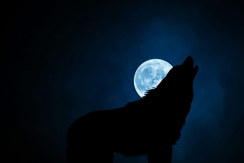 夜、月、暗い、シルエット、オオカミ 高画質の壁紙