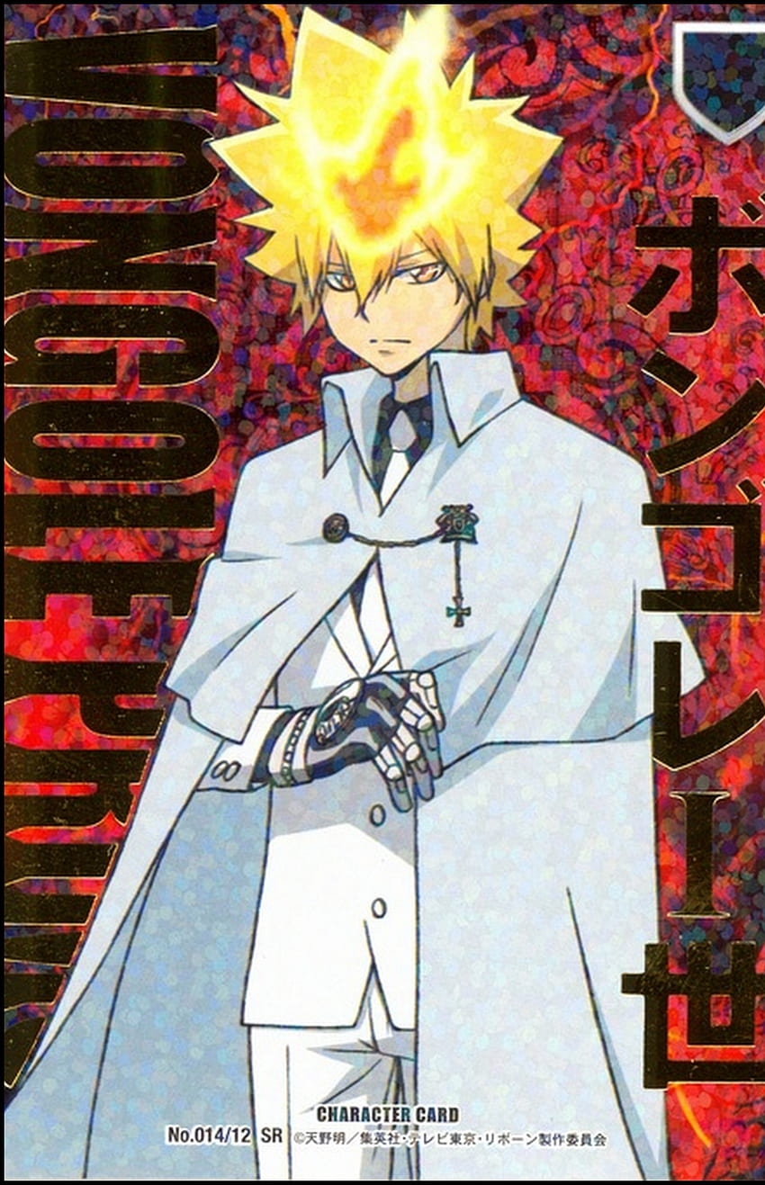 Vongola Primo Giotto - Katekyo Hitman REBORN! - Mobile - Zerochan Anime Board HD phone wallpaper