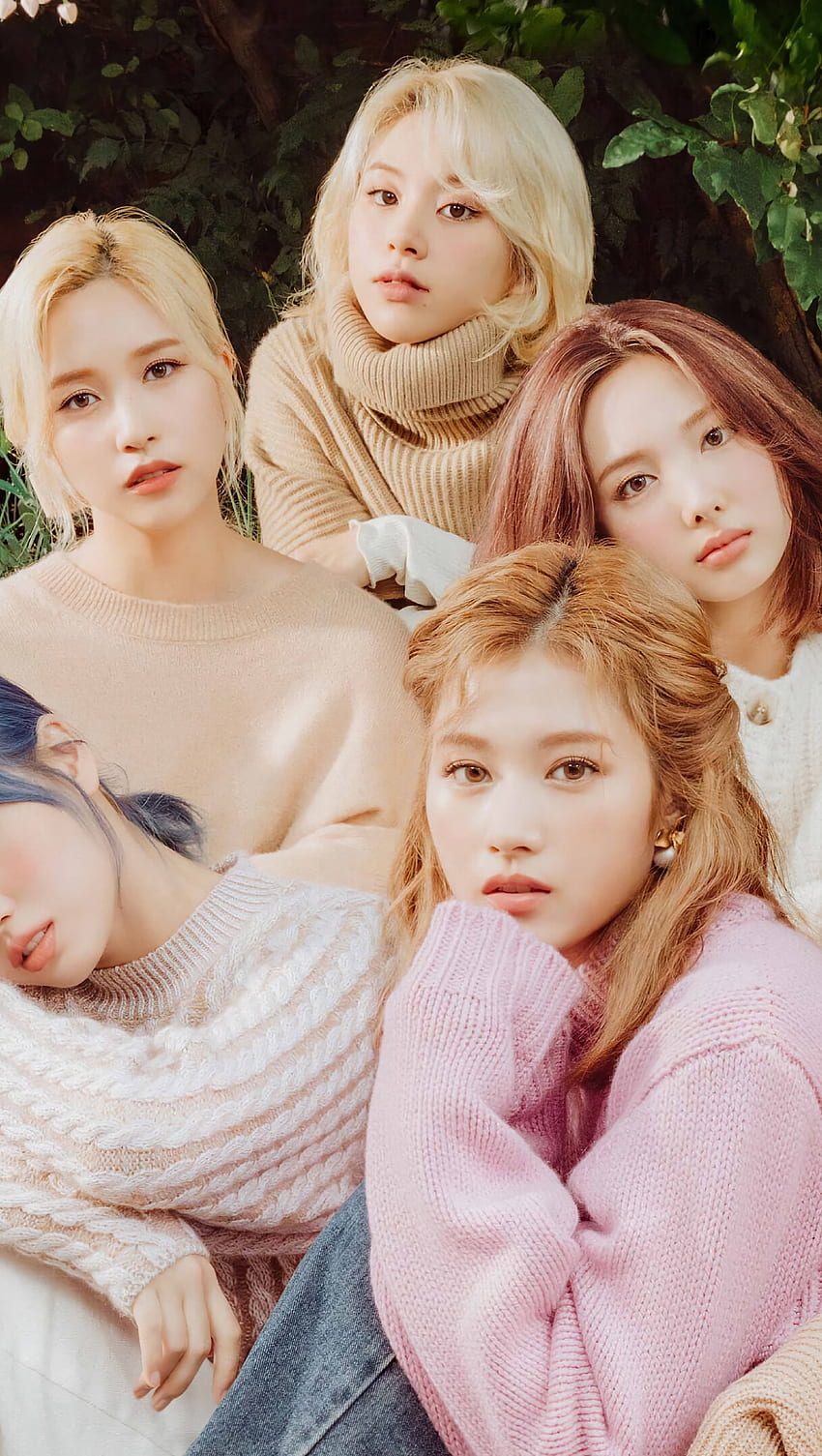Twice group members Ultra, Twice Portrait HD phone wallpaper