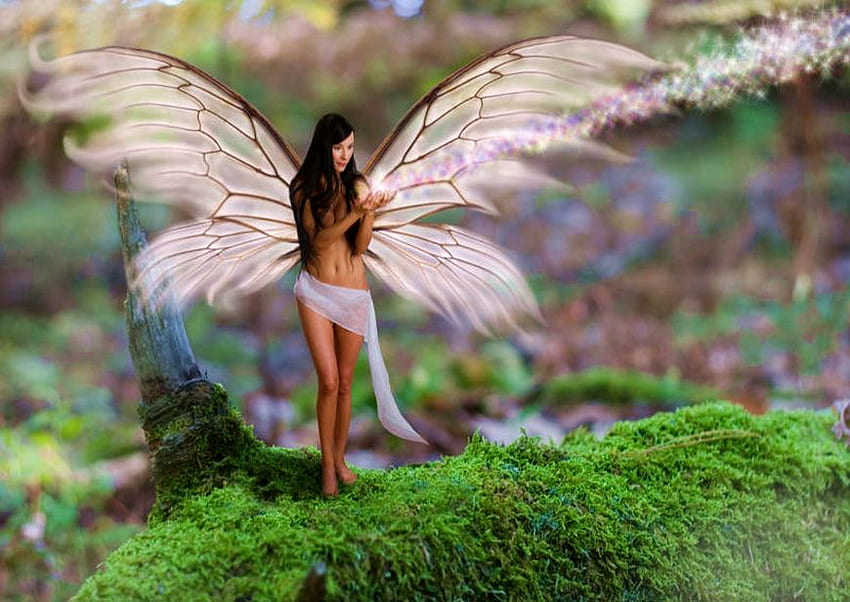 美しい妖精、翼、ファンタジー、美しい、森、女性 高画質の壁紙