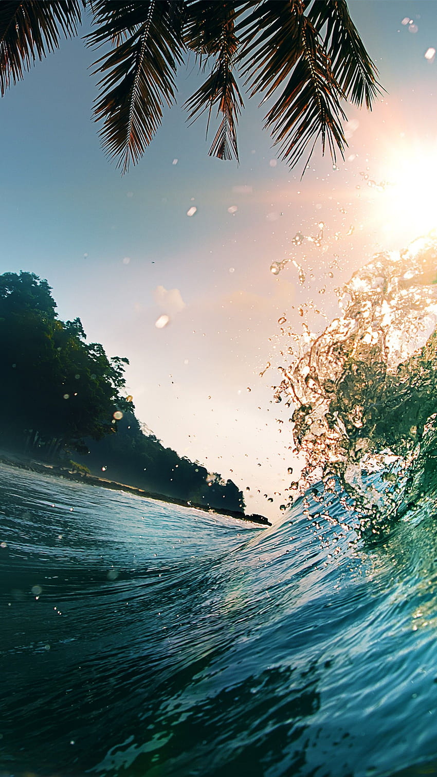 Wave, , , , ocean, palms, sun, Nature, Vertical HD phone wallpaper