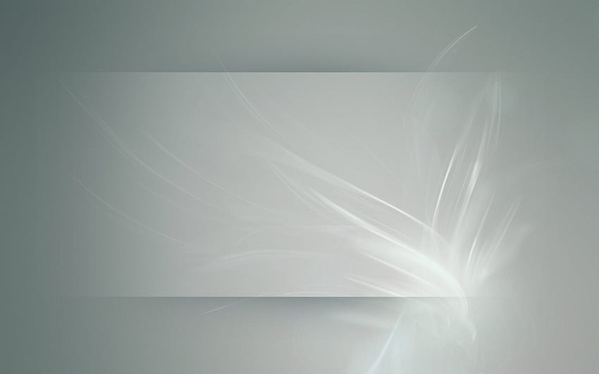 Abstrakt, Hintergrund, Blume, Licht, hell, verblasst HD-Hintergrundbild