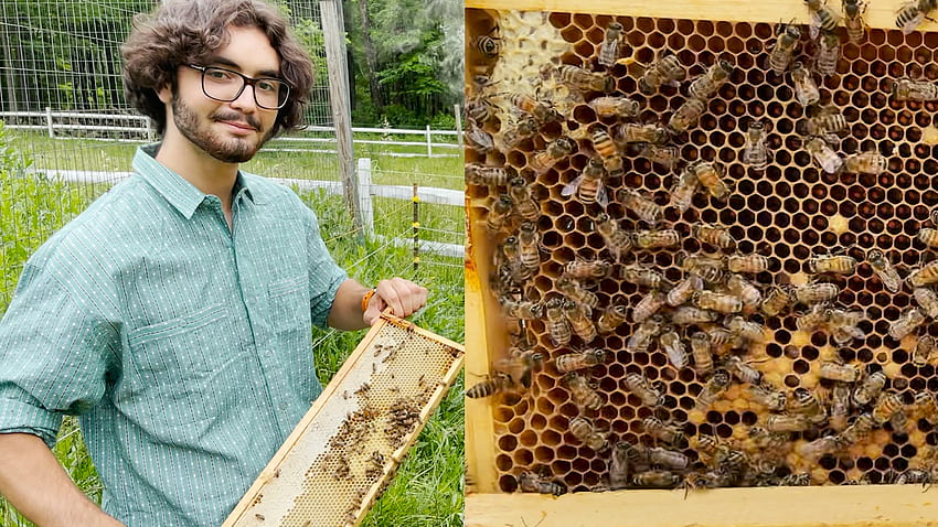 New Jersey Farm Sweet Cheeks Farm and Apiary exhibe el poder de las abejas melíferas a través de productos apícolas de alta calidad 6abc Filadelfia fondo de pantalla