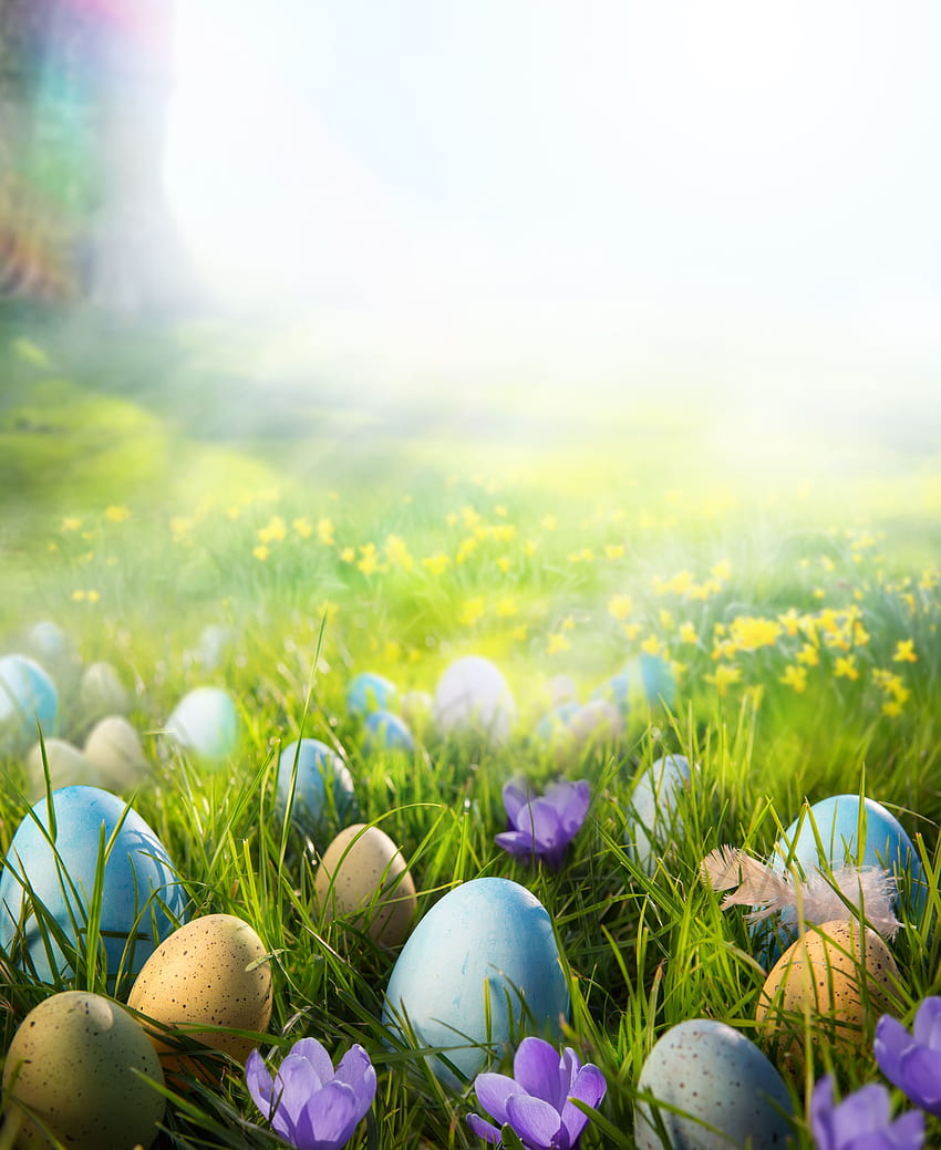 Отпечатани цветни великденски яйца върху тревата на слънчевия фон за графика. Великден, Великденски фон, Честит Великден, Старинно великденско яйце HD тапет за телефон