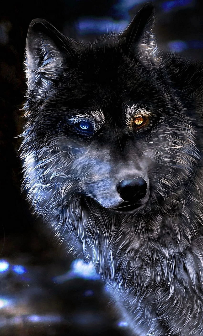 Best Wolf ideas. wolf , wolf , wolf spirit animal, Legendary Wolf HD phone wallpaper