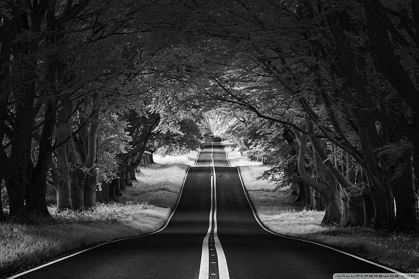 Road Landscape, Aesthetic, Black and White Ultra Background for U TV ...
