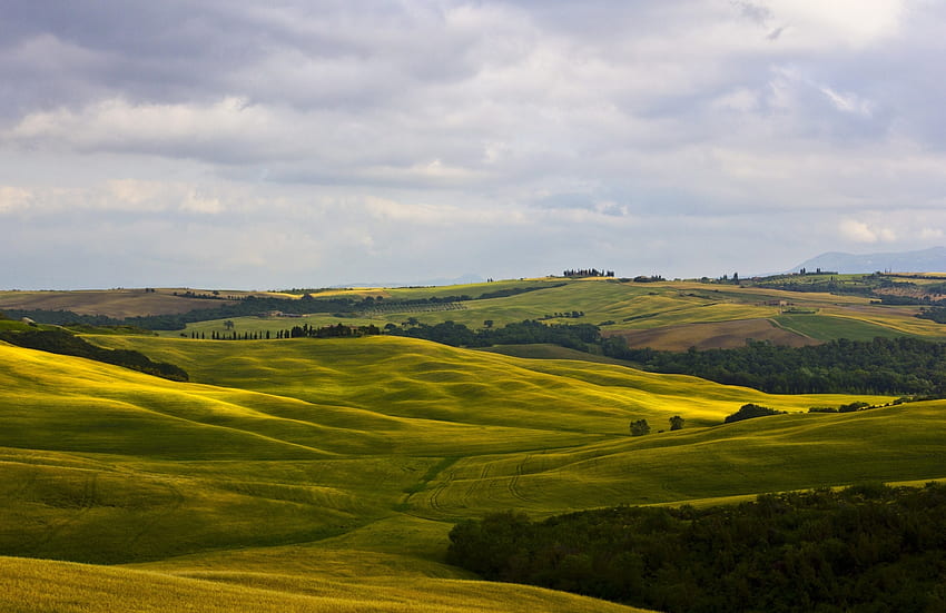 Nature, Fields, Italy, Tuscany, Montalcino HD wallpaper