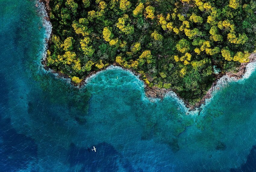 Insel, Wald, Meer, Luft HD-Hintergrundbild