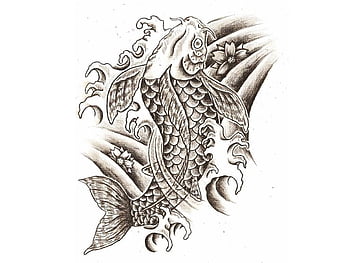 Koi fish tattoo HD wallpapers  Pxfuel