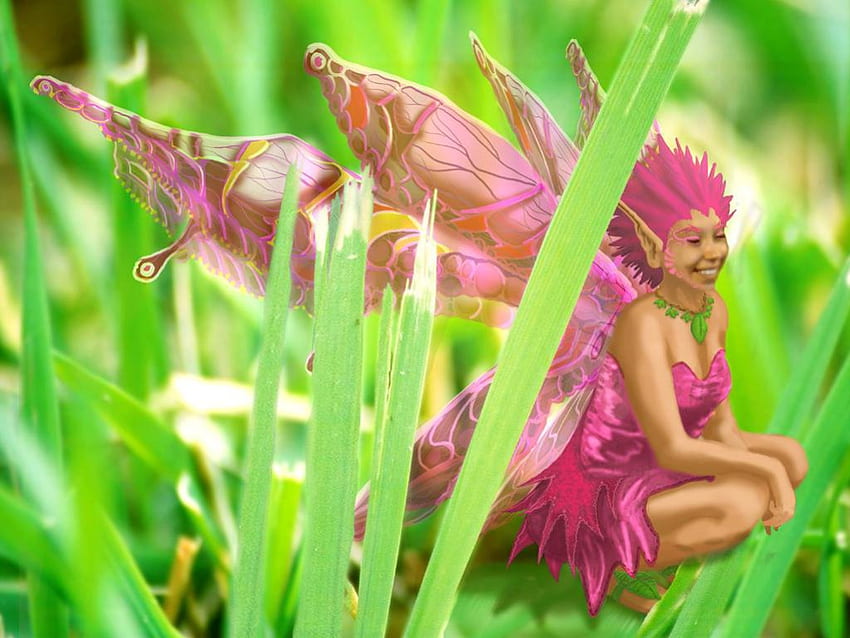 Fairy Elf, fairy, pink, abstract, fantasy, grass HD wallpaper