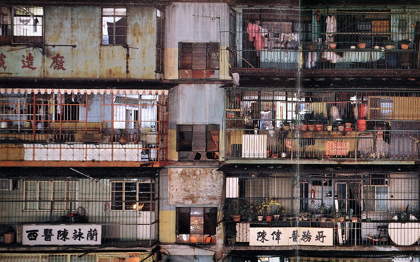 Wg - Utas Umum, Kowloon Wallpaper HD