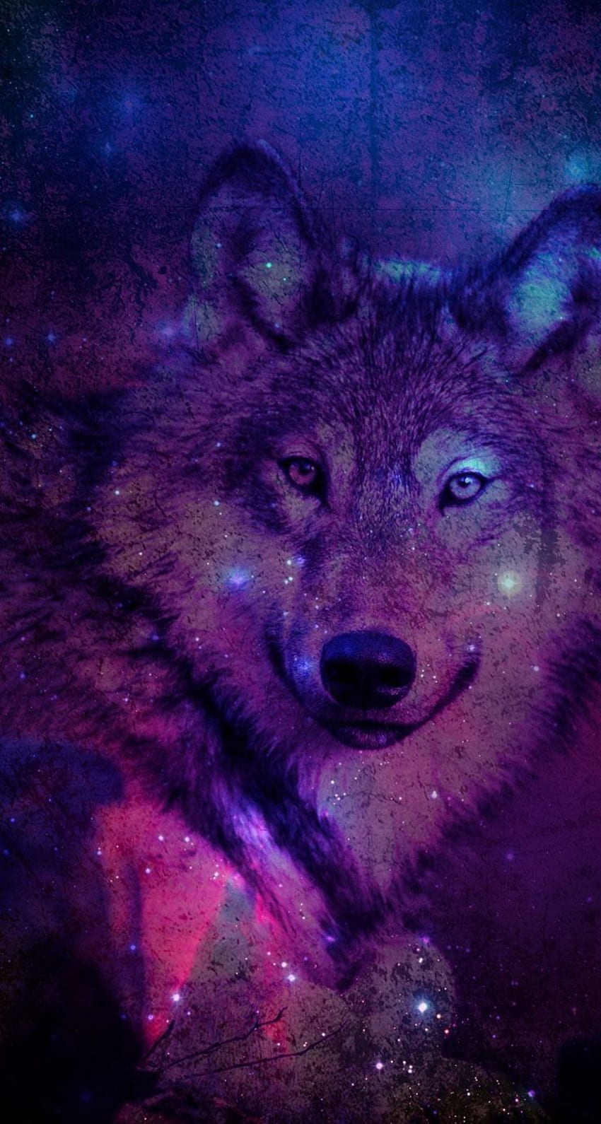 Wolf für iPhone. Wolf, Galaxiewolf, Wolfskrafttier, Lila Geisterwolf HD-Handy-Hintergrundbild