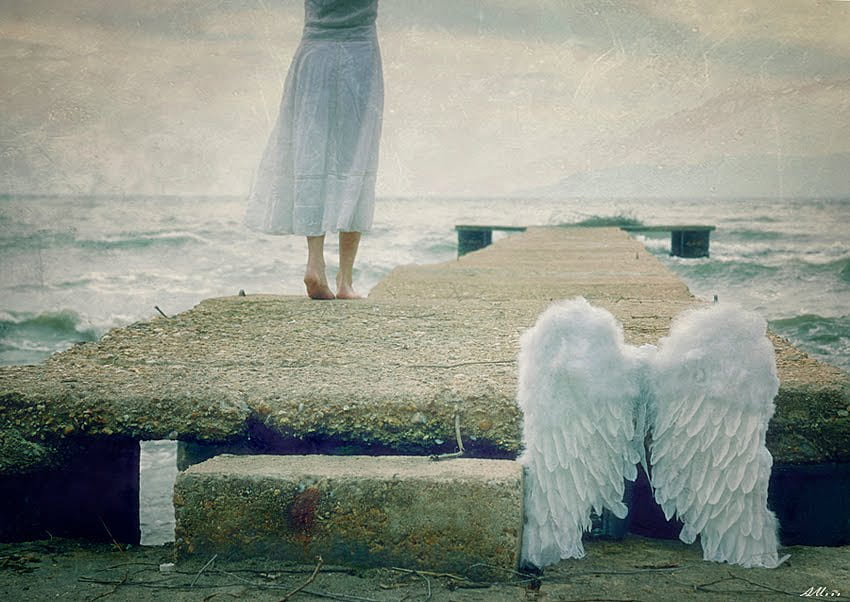 Let the wind carry you home, wind, wings, white, abstract, angel, home HD wallpaper