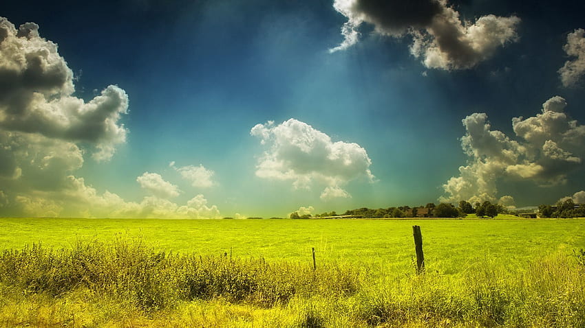 природа, небе, облаци, лято, поле, цветове, цвят, бои, ден, пасище HD тапет