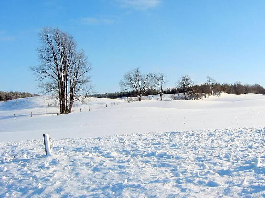 静かな野原、冬、空、野原、雪 高画質の壁紙
