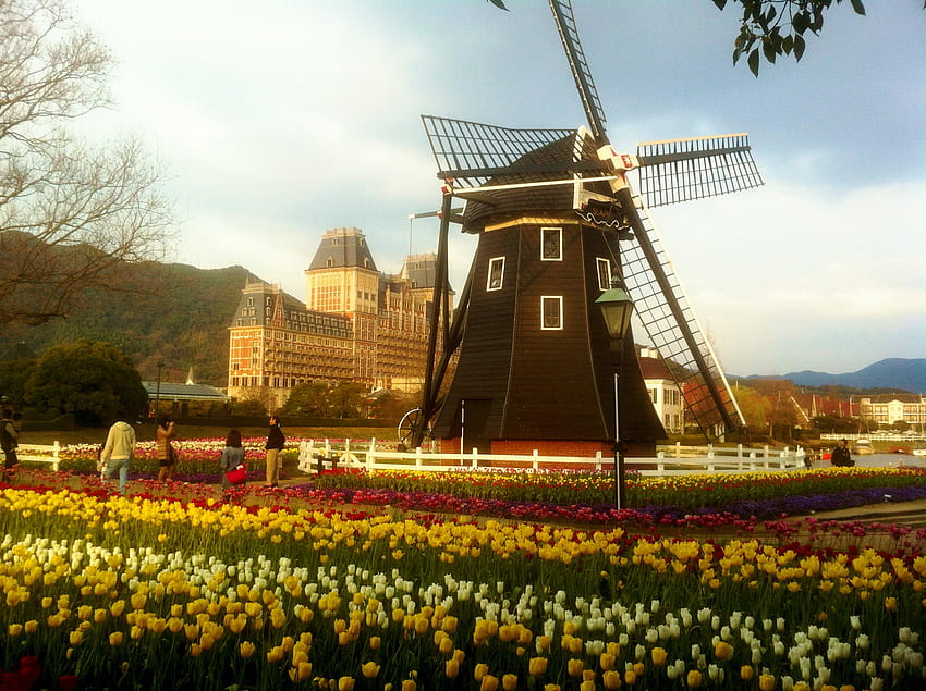 Huis Ten Bosch, Japan, windmill, field, building, tulips, spring HD wallpaper