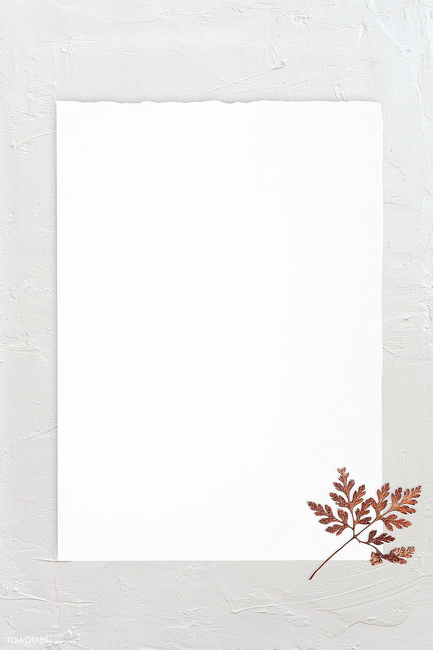 premium template kertas putih kosong dengan daun kering wallpaper ponsel HD