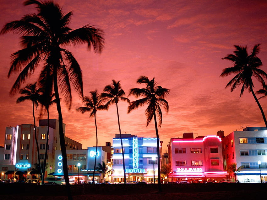 Neon Nightlife South Beach Miami Florida. Travel for Mobile and HD wallpaper