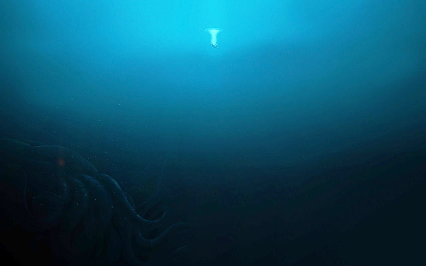 L'oceano è un posto bellissimo e spaventoso: , spaventoso sott'acqua Sfondo HD