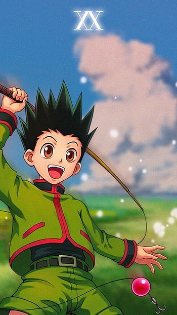 320+ Hunter x Hunter HD Wallpapers and Backgrounds