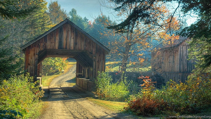 自然の背景に素晴らしい木製の橋 高画質の壁紙
