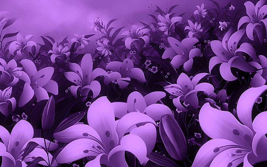 Champ de fleurs violettes. Ungu, Idé Fond d'écran HD