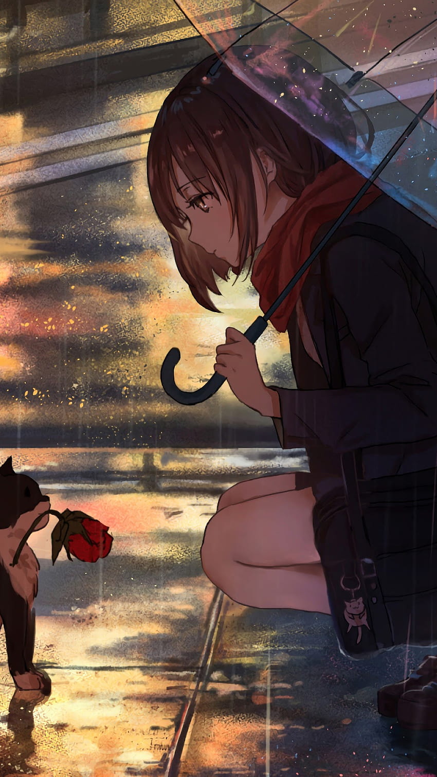 Anime Girl Raining Cat Phone iPhone , Cat Girl Phone HD phone wallpaper |  Pxfuel