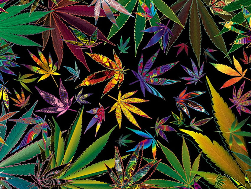 Trippy Weed, Stoner Hippies HD wallpaper
