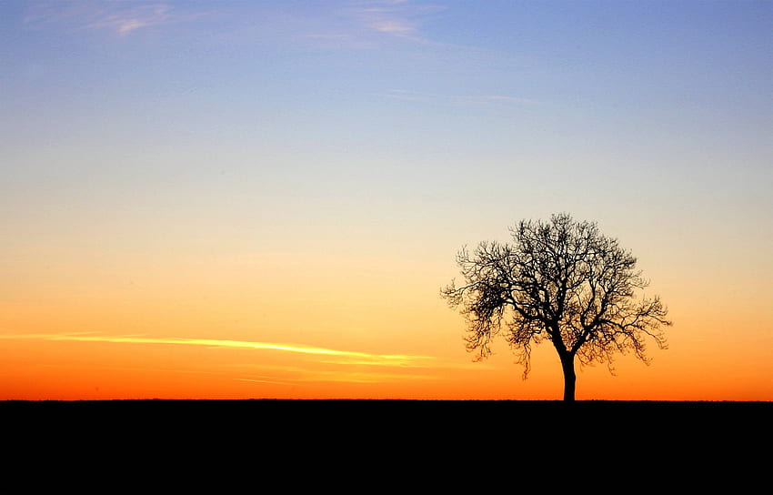 Lone tree sunset (By me ()) :, 3000 X 1920 HD wallpaper