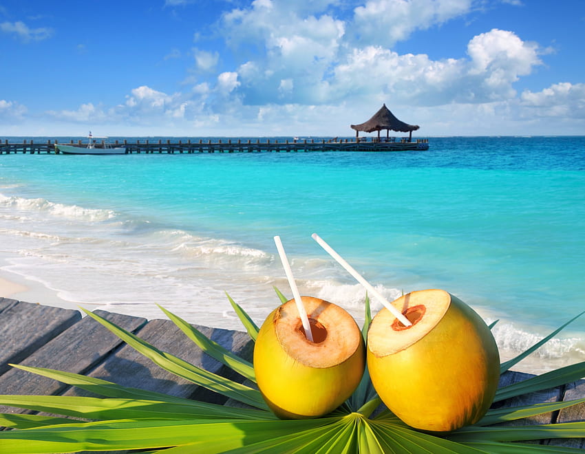 Minuman Tropis, laut, jus, tropis, kelapa, minuman, pantai Wallpaper HD