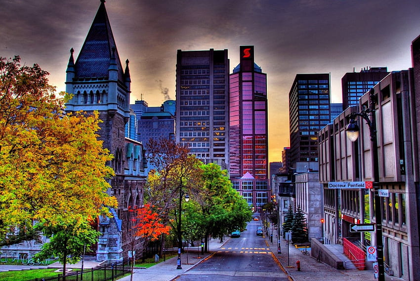 early morning on a street in montreal r, skyscrapers, morning, city, street, r HD wallpaper