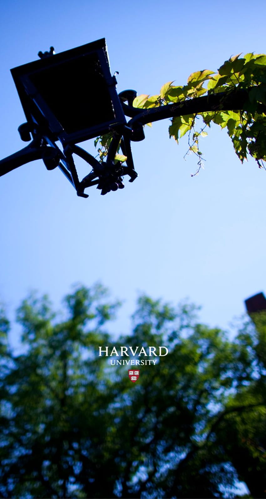 und Cover, Harvard HD-Handy-Hintergrundbild