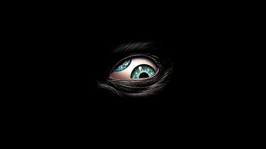 Evil Eye, Evil Wolf Eyes HD wallpaper