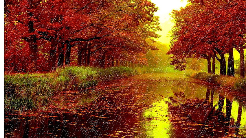 Días lluviosos en otoño, clima otoñal fondo de pantalla