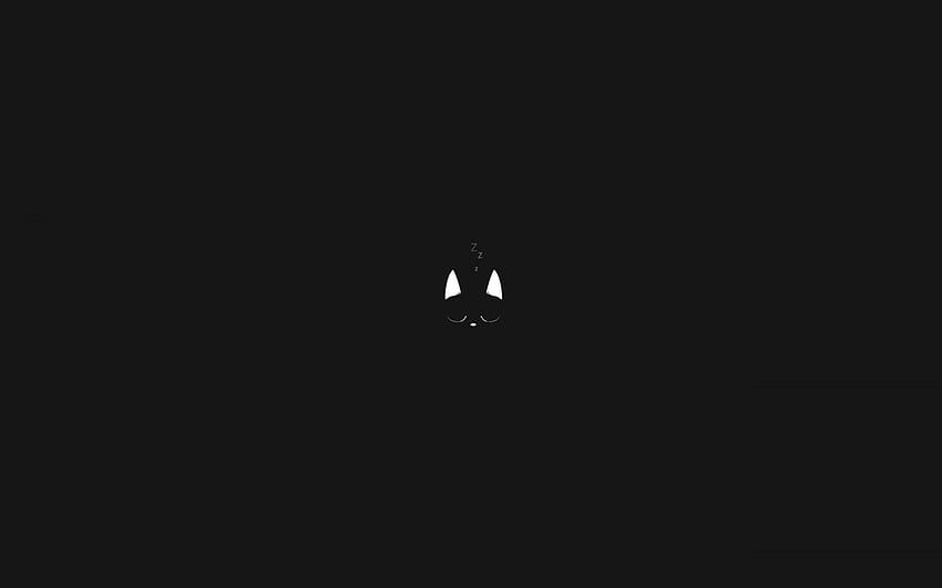 แมว ความเรียบง่าย โลโก้ ความมืด หน้าจอ คอมพิวเตอร์ ขาวดำ กราฟิคขาวดำ แบบอักษร โมคาห์ แมวมินิมอล วอลล์เปเปอร์ HD