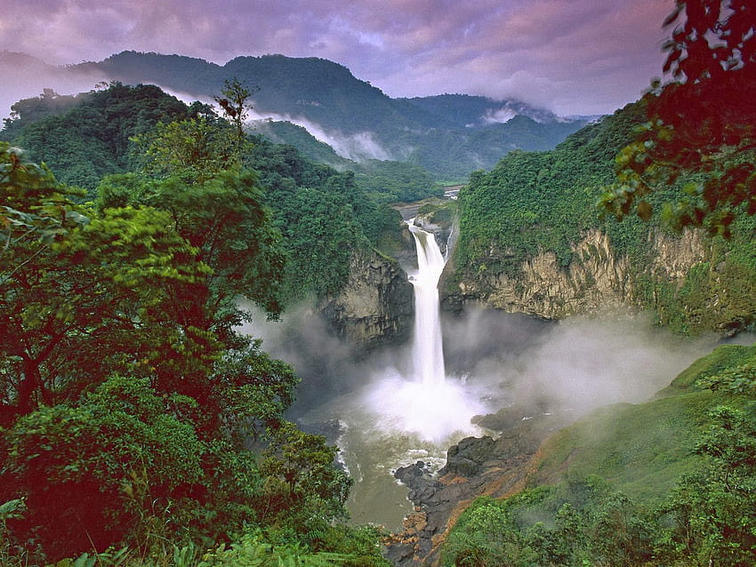 Schöner Punkt: Amazonas-Dschungel HD-Hintergrundbild