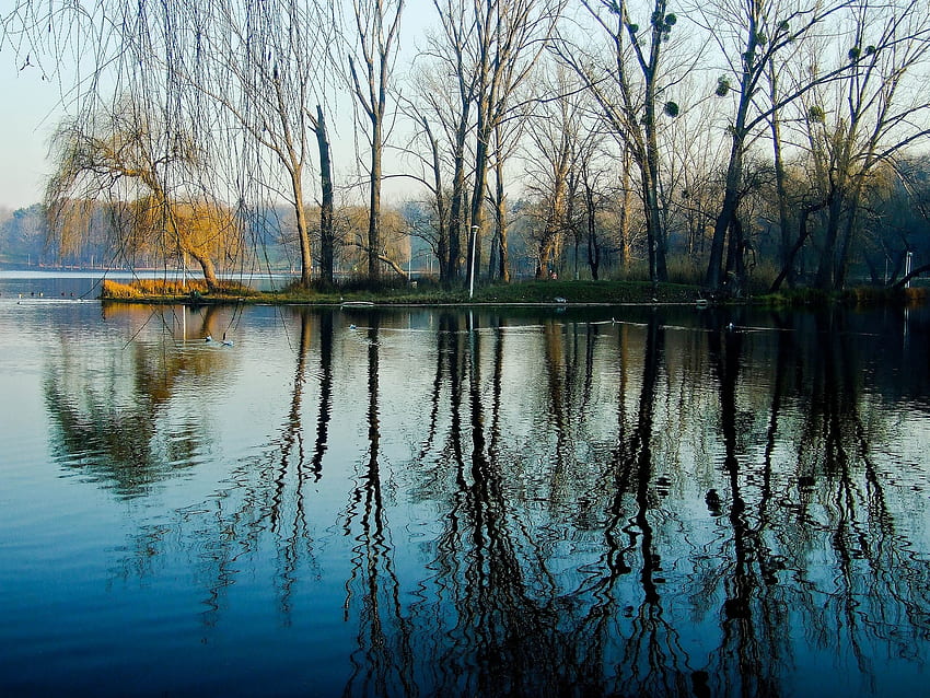 Frühling, Natur, Wasser, Bäume, See, Park HD-Hintergrundbild